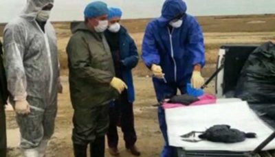 علت تلفات پرندگان مهاجر از سوی دامپزشکی گلستان اعلام می‌شود