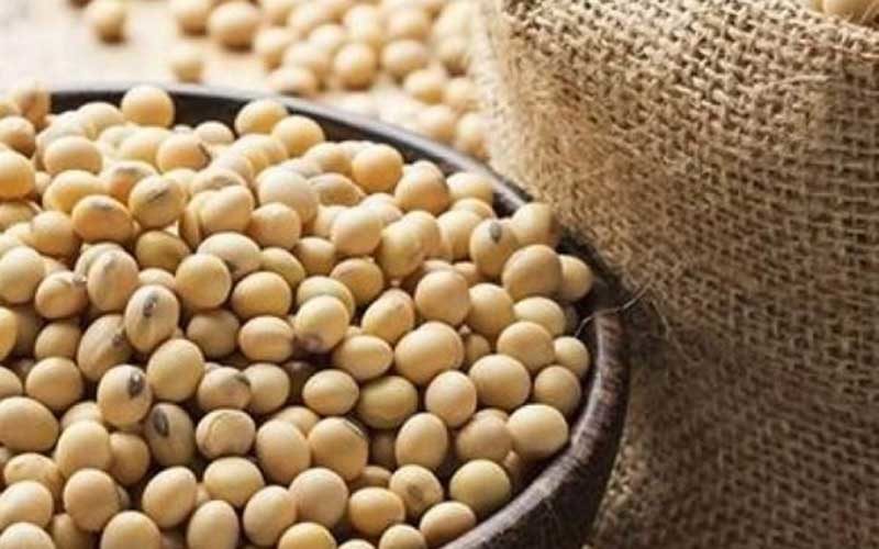 مصرف-محصولات-سویا-موجب-افزایش-طول-عمر-می-شود