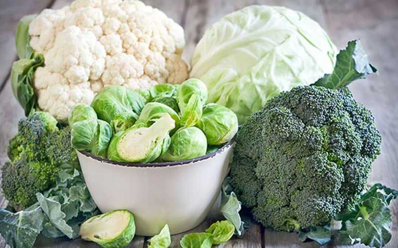 مقابله با کبد چرب با ترکیبات گیاهی