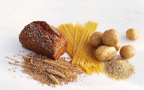 رژیم غذایی کم کربوهیدرات از تاثیر افزایش سن بر مغز پیشگیری می کند 1 رژیم غذایی کم کربوهیدرات از تاثیر افزایش سن بر مغز پیشگیری می کند