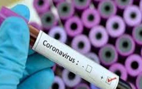 فروشنده واکسن تقلبی کرونا در فضای مجازی دستگیر شد 1 فروشنده واکسن تقلبی کرونا در فضای مجازی دستگیر شد