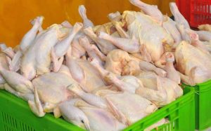 مرغ-تازه-در-میادین-میوه-و-تره-بار-به-زیر-۱۰-هزار-تومان-رسید