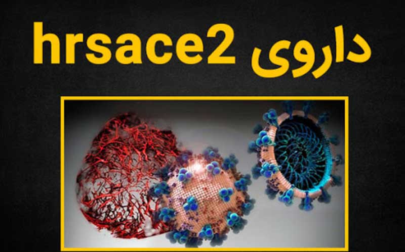 hrsACE2؛ کشف دارویی احتمالی کرونا توسط دانشمندان کانادا
