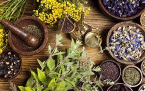 عصاره‌های-گیاهی-موثر-برای-درمان-دیابت-معرفی-شد