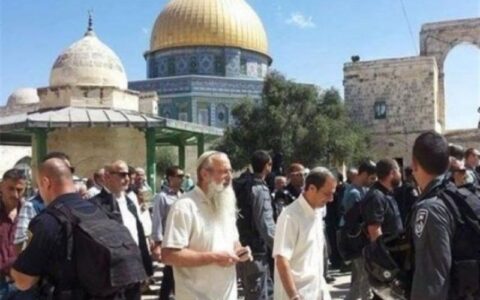 مسجد الاقصی بازگشایی شد