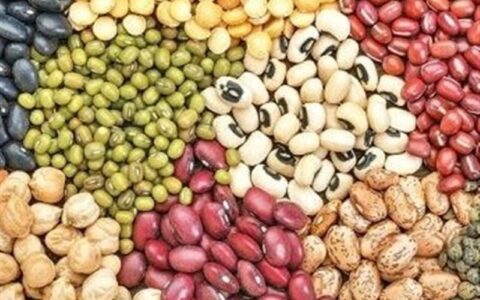 حبوبات ۴۰ هزار تومانی هم به بازار آمد حبوبات ۴۰ هزار تومانی هم به بازار آمد