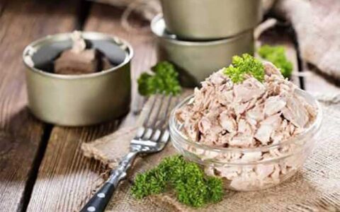 قیمت کنسرو ماهی افزایش یافت