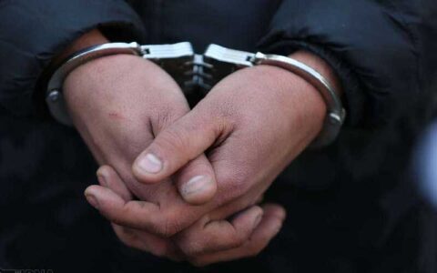 متهم کلاهبردار به کشور بازگردانده شد 1 متهم کلاهبردار به کشور بازگردانده شد