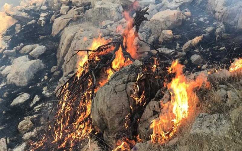منطقه حفاظت شده خائیز در وضعیت فوق العاده بحران