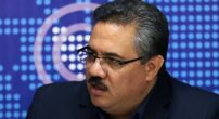 مودودی-خودروسازی-گاوشیرده-دولت-ها-است