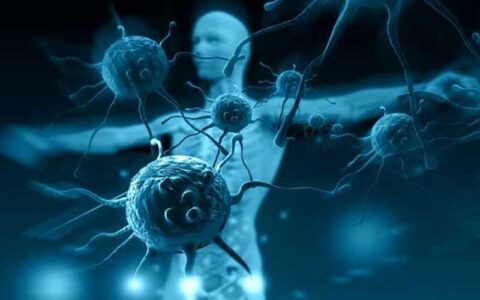 کافئین ایمنی بدن را افزایش می دهد 1 کافئین ایمنی بدن را افزایش می دهد