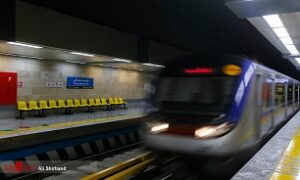 2612458_311