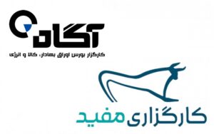 اختلال در کارگزاری آگاه