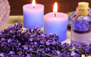 اسطوخودوس-گیاهی-معجزه‌گر