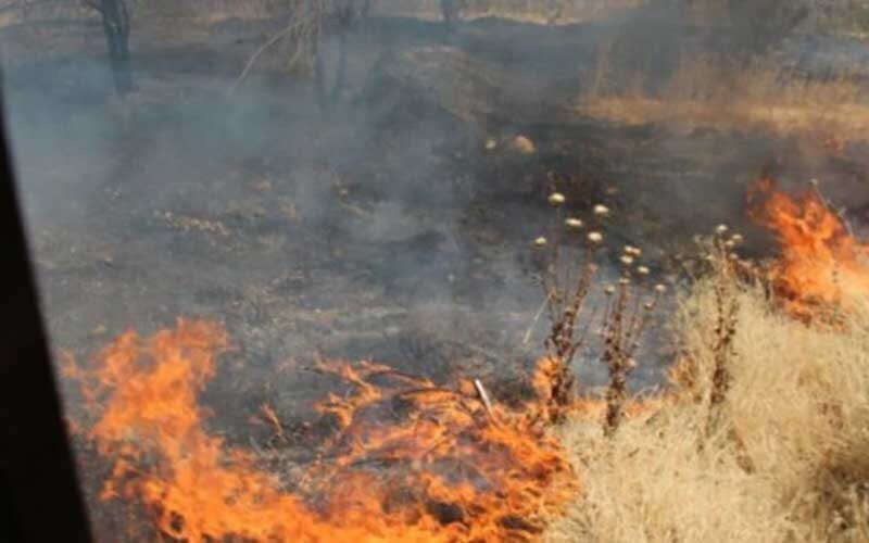 حریق-به-جان-ارتفاعات-بلوار-نماز-مشهد-افتاد