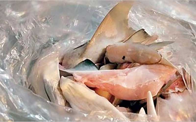 حـراج بـاله کوسه در تهــران