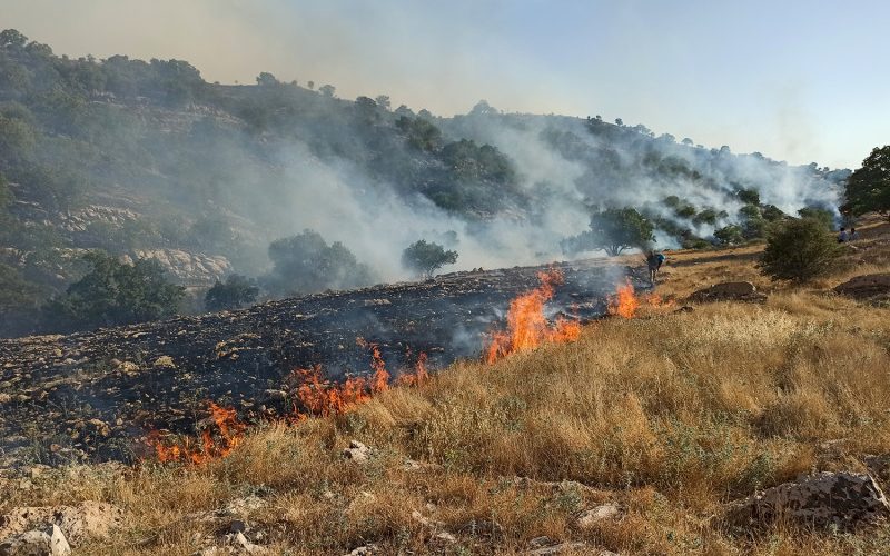 IRAN-FIRE