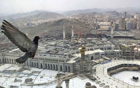 تعويض جامه خانه خدا در شب عرفه/تصاویر