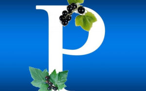 دانستنی‌هایی-درباره-ویتامین-P