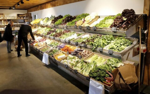 قیمت جهانی مواد غذایی بالا رفت 1 قیمت جهانی مواد غذایی بالا رفت قیمت جهانی مواد غذایی بالا رفت قیمت غذای فائو, تولید جهانی غلات
