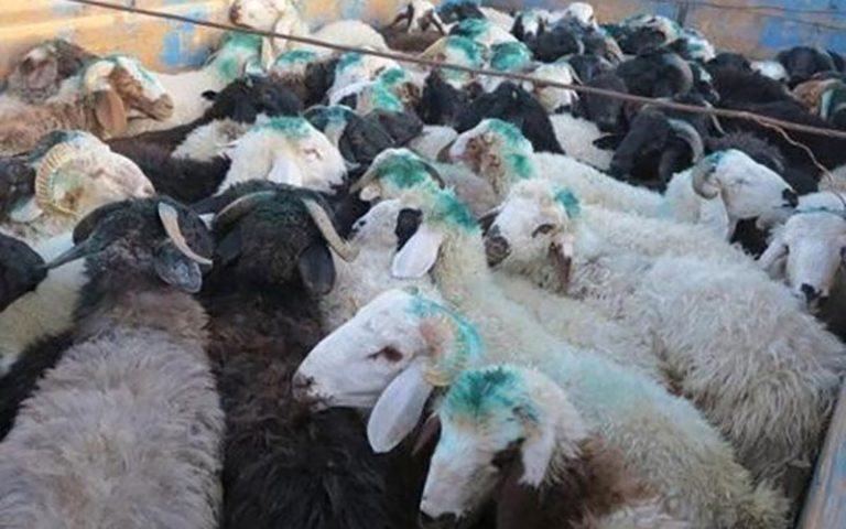 هشدار-وزارت-بهداشت-در-آستانه-عید-قربان