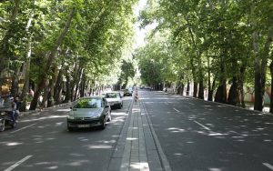 ولیعصر-یک‌گام-دیگر-به-ثبت-جهانی-نزدیک-شد