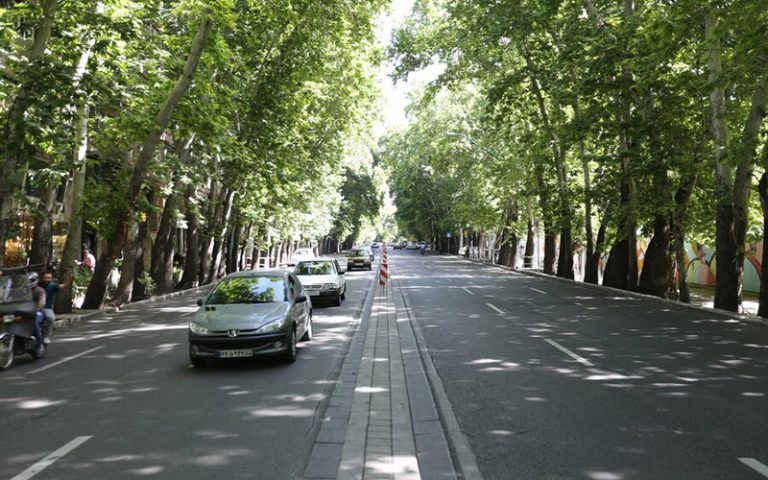 ولیعصر-یک‌گام-دیگر-به-ثبت-جهانی-نزدیک-شد
