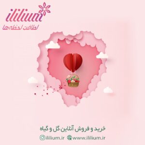 گل آنلاین "آی لیلیوم" سفارش در کوتاه ترین زمان
