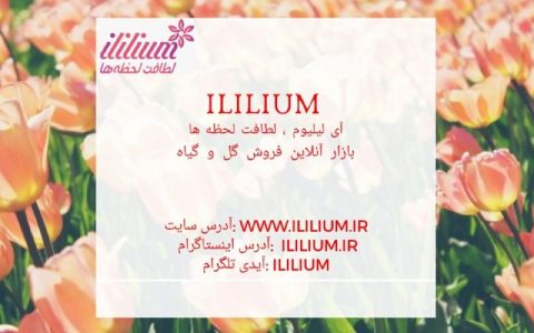 "آی لیلیوم" سفارش گل آنلاین در کوتاه ترین زمان 1 "آی لیلیوم" سفارش گل آنلاین در کوتاه ترین زمان آی لیلیوم اپلیکیشن, گل, آی لیلیوم