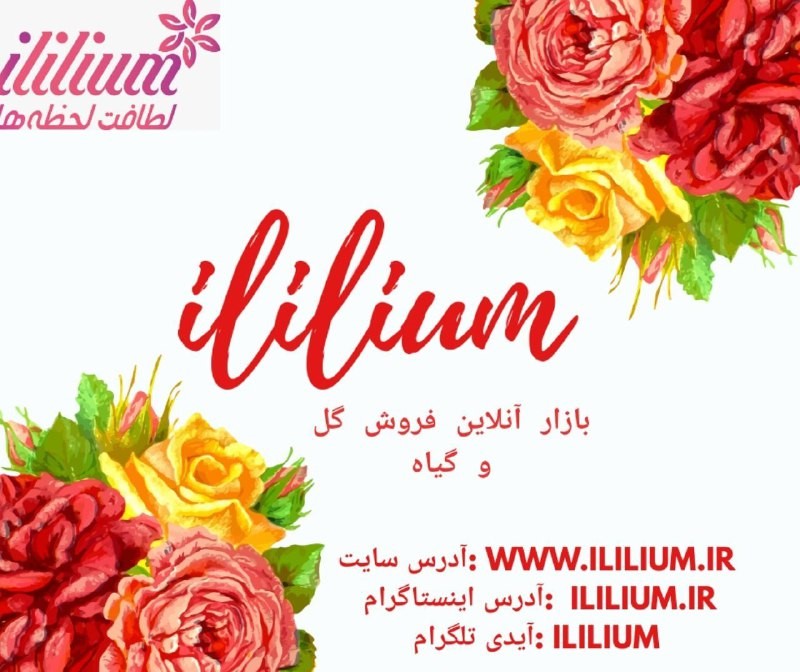 آی لیلیوم سفارش گل آنلاین در کوتاه ترین زمان