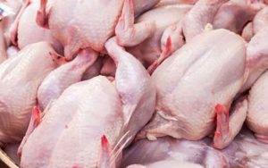 حداکثر قیمت متعادل هر کیلوگرم مرغ حدود 15 هزار و 900 تومان اعلام شد