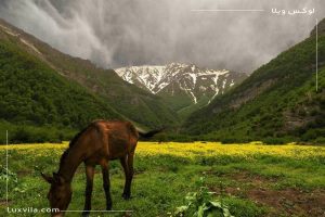 چگونه توریستی ترین روستای اطراف تهران متولد شد