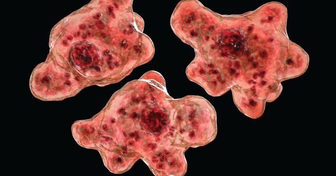 میکروب مرگبار در آب شرب آمریکا؛ وضعیت ۸ شهر تگزاس به مرحله هشدار رسید