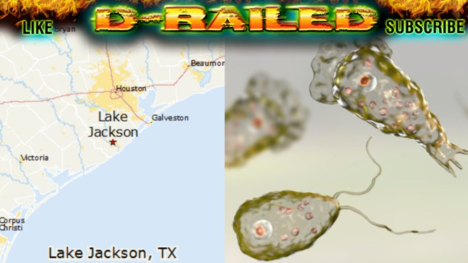 میکروب مرگبار در آب شرب آمریکا؛ وضعیت ۸ شهر تگزاس به مرحله هشدار رسید