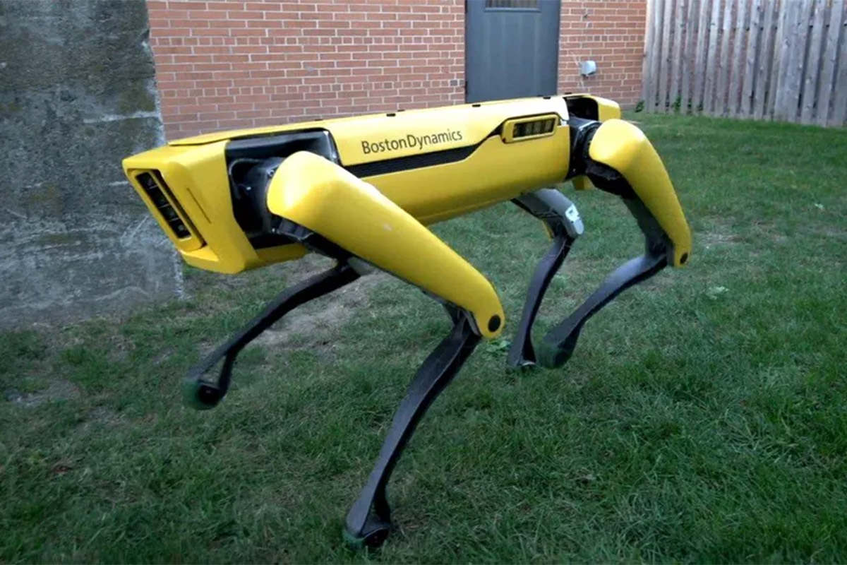 boston dynamics robot dog work for 3