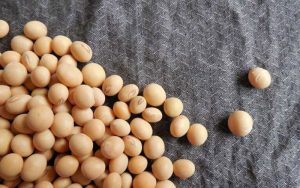 استفاده-از-سویا-برای-درمان-سرطان