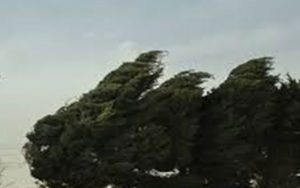 باد-شدید-در-10-استان-از-امشب