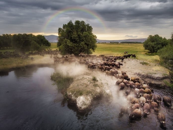 زیباترین عکسهای هوایی برنده ۲۰۲۰