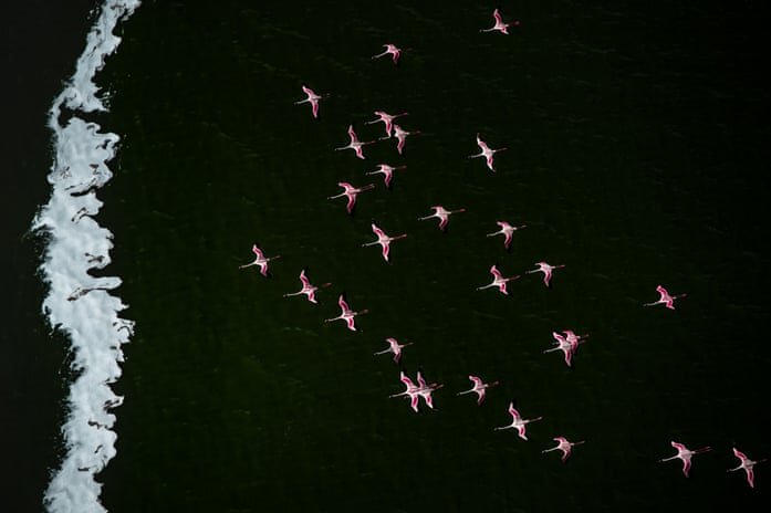 زیباترین عکسهای هوایی برنده ۲۰۲۰