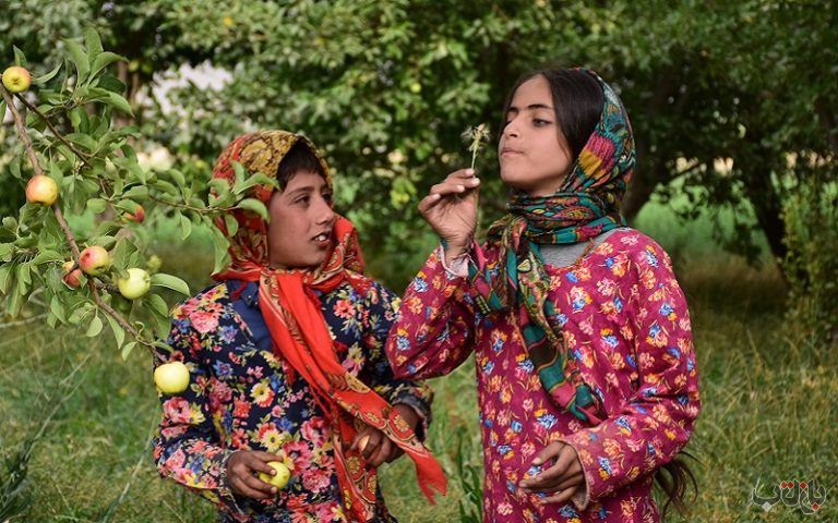 بچه‌گرگ‌های دره سیب