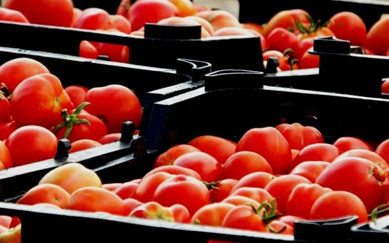 جزییات-معطلی-کامیون‌های-حامل-گوجه‌فرنگی-صادراتی-در-مرز-عراق