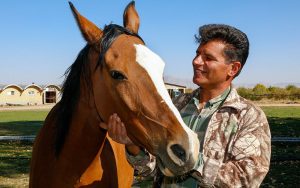 نژاد-اسب-دره-شوری