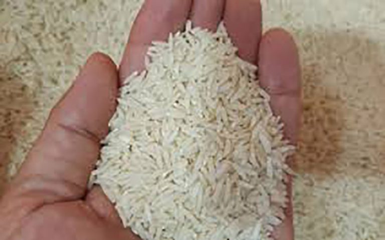 واکنش-گمرک-به-فساد-برنج-های-دپو-شده؛-مجوز-ترخیص-نداریم