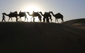 ایساتیس-به-مراحل-پایانی-رسید