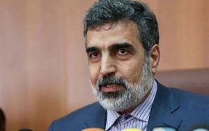 سخنگوی-سازمان-انرژی-اتمی-عوامل-ترور-فخری‌زاده-و-حادثه-نطنز-یکی-است