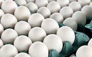 ضوابط-صادرات-تخم‌مرغ-در-آبان-ماه-اعلام-شد