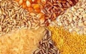مخالفت-رئیس-جمهور-با-توافق-دو-وزیر-برای-واگذاری-تنظیم-بازار-به-وزارت-جهاد-کشاورزی