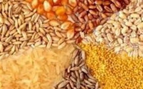 مخالفت رئیس جمهور با توافق دو وزیر برای واگذاری تنظیم بازار به وزارت جهاد کشاورزی مخالفت رئیس جمهور با توافق دو وزیر برای واگذاری تنظیم بازار به وزارت جهاد کشاورزی