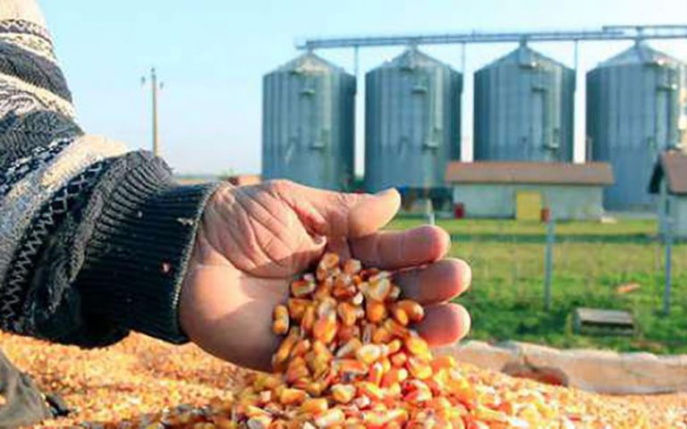 نرخ-مصوب-نهاده-های-دامی-افزایش-یافت