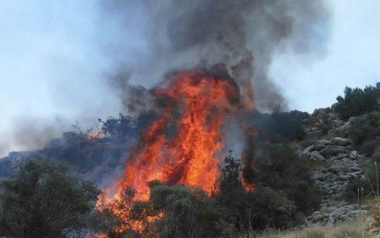 نیروهای-امدادی-از-۴-شهرستان-به-جنگل‌های–توسکستان-اعزام-شدند-آتش‌سوزی-درحال-پیشروی
